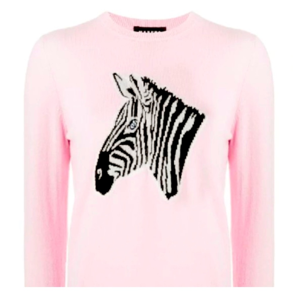 MARKUS LUPFER
Zebra Motif Crewneck
Jumper In Pink